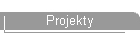 Projekty