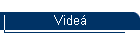 Vide